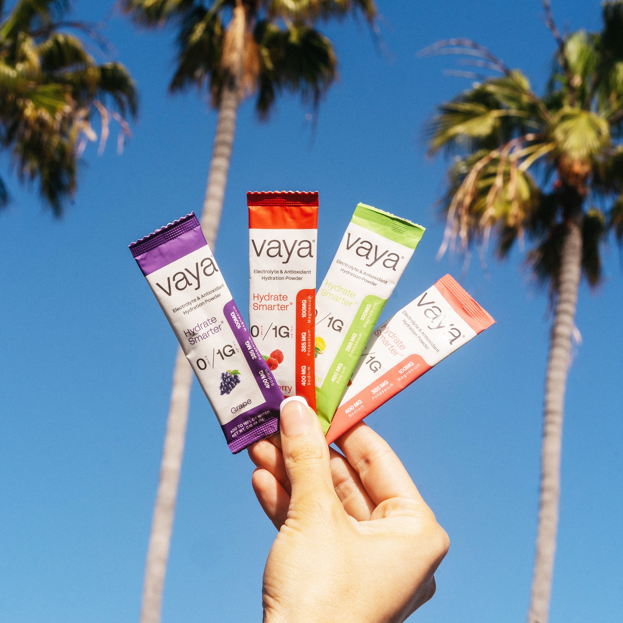 24 Pack - Sugar Free Electrolyte Powder - Variety Pack